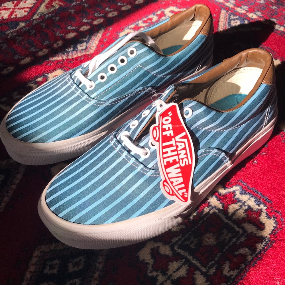 Blue Striped Vans